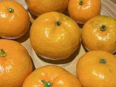 -快活林酸汤鱼鲜品火锅店(甲秀楼店)