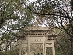 -灵岩山风景区