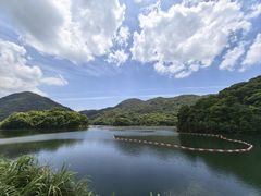 -广州市石门国家森林公园