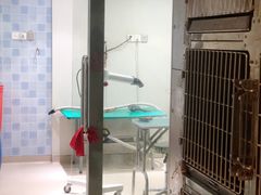 -瑞派申生动物医院·24H夜诊·国际动物医疗中心·骨外科(吴中路店)