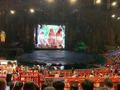 -广州长隆国际大马戏