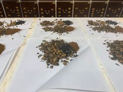 -北京同仁堂(西大街店)