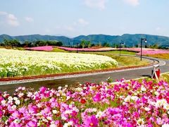 -径山花海