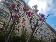 -云南师范大学(一二一西南联大校区)