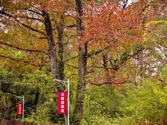 -宝晶宫旅游景区