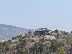-香山公园