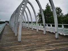 -大兴滨河森林公园