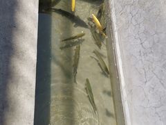 -何适山庄 ·可团建(水长城P2停车场店)