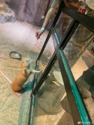 -酷嗒动物文化乐园(cutezoo西溪乐天城店)