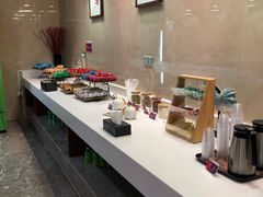 -郑州新郑国际机场T2航站楼-贵宾厅B区