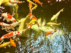 -石涧故事·私房菜(紫云路店)
