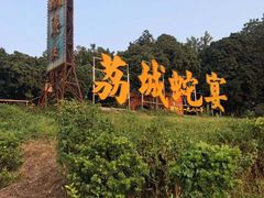 -荔城生鲜盛宴(番禺旗舰店)