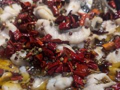 -金三可市井水煮鱼(金碧园店)