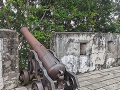 -大炮台
