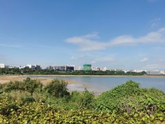 -立新湖公园