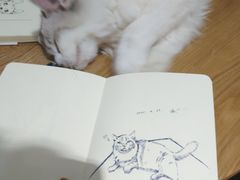 -藏猫猫咖啡主题馆(中央大道店)