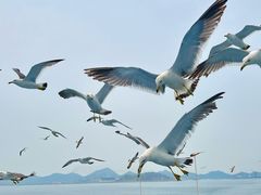 -海驴岛(荣成市)