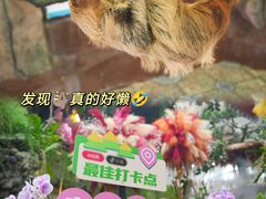 -正佳雨林生态植物园