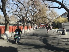 -北京国子监胡同