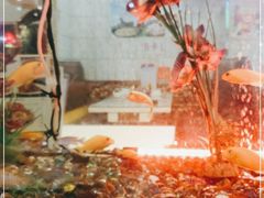 -新辉港式茶餐厅(北栅店)