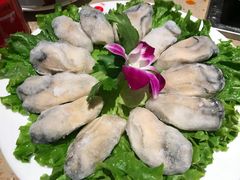 阳江外海爆浆生蚝-锦城印象火锅(天府三街店)