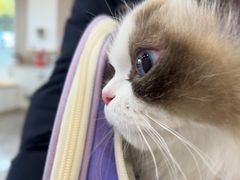 -贝康宠物医院·犬猫全科·小动物特色诊疗中心(东环路店)