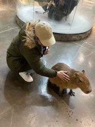 -Zoolung Zoolung动物主题公园(海信广场店)