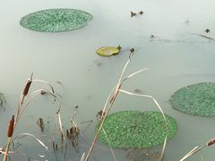-小格里自然风景区