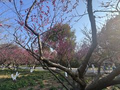 -上海海湾国家森林公园