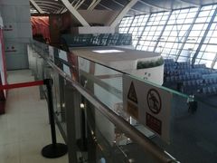 -上海浦东国际机场-T2航站楼