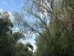 -同里国家湿地公园