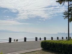 -深圳湾公园(南山区)