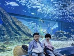 -海合安武汉极地海洋公园