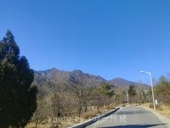 -北京鹫峰国家森林公园