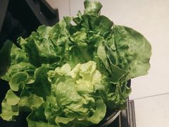 -辣伍鲜毛肚老火锅(元一店)
