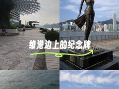 -星光大道
