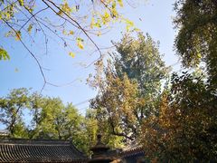 -湘子庙