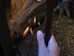 -流行文化博物馆