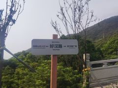 -梧桐山风景名胜区