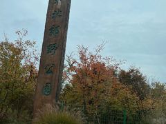 -嘉北郊野公园