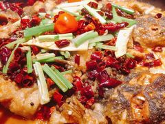 -老板恋上鱼(高新万达店)