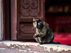 -龙华寺