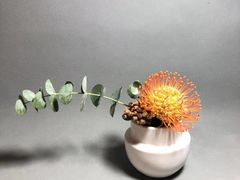 -花到家(富贵鸟花艺行)