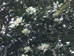 -重庆彩云湖湿地公园