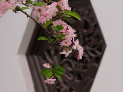 -棠湖公园
