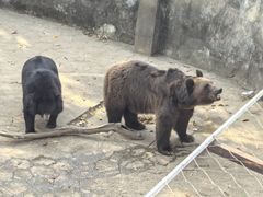 -无锡动物园·太湖欢乐园
