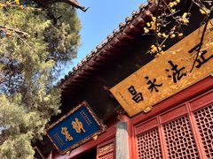 -洛阳白马寺