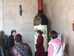 -龙谕酒庄