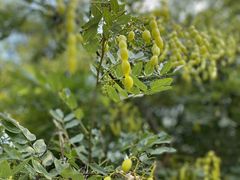 -南京市无想山景区