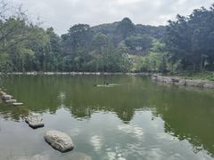 -广州市帽峰山景区